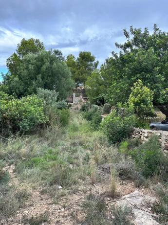 Terreno en Partida de la Lloma de les cloches s/n