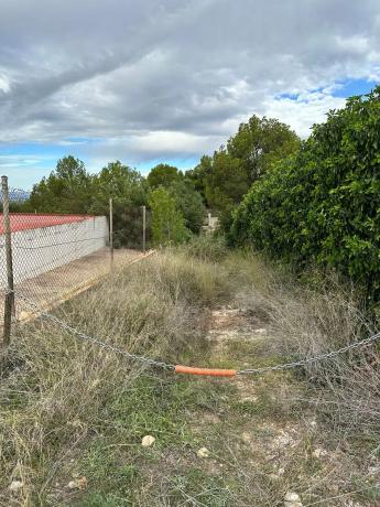 Terreno en Partida de la Lloma de les cloches s/n