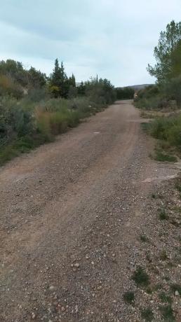 Terreno en Casco Antiguo