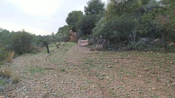 Terreno en Casco Antiguo