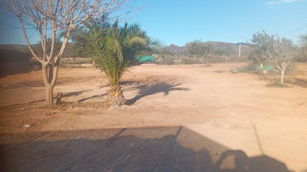 Terreno en Diseminado P075, 26 g