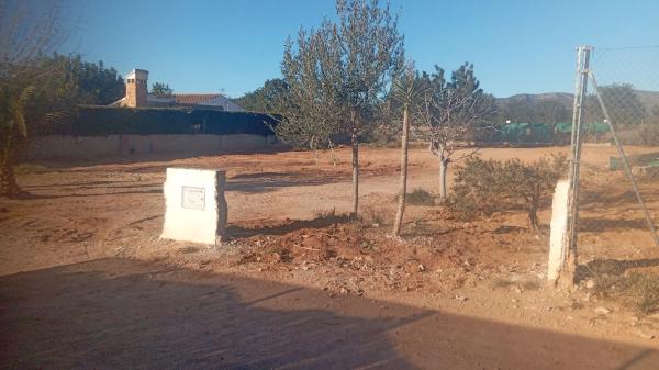 Terreno en Diseminado P075, 26 g