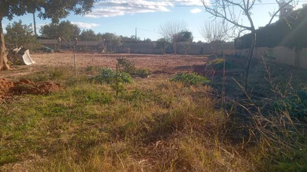 Terreno en Diseminado P075, 26 g