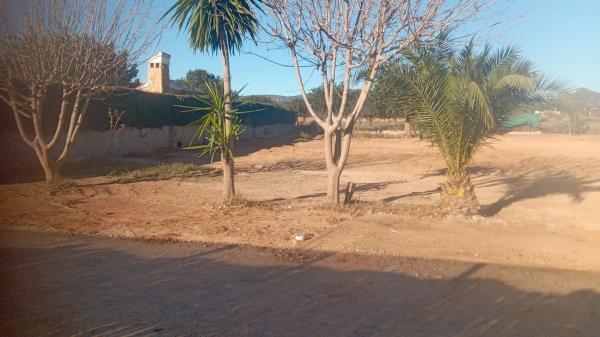 Terreno en Diseminado P075, 26 g