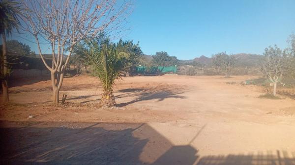 Terreno en Diseminado P075, 26 g