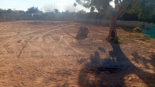 Terreno en Diseminado P075, 26 g