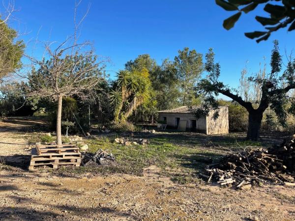 Terreno en plaza Diseminados, 98 a