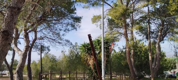 Terreno en calle Pou, 2