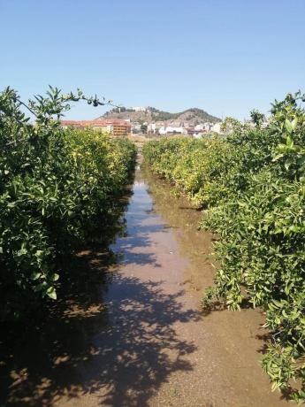 Terreno en via del Turia s/n