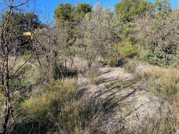 Terreno en camino del Calvo s/n