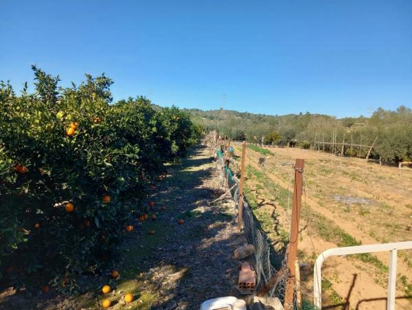 Terreno en Polígono Diseminados s/n