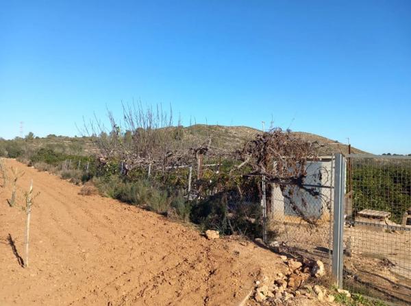 Terreno en Polígono Diseminados s/n