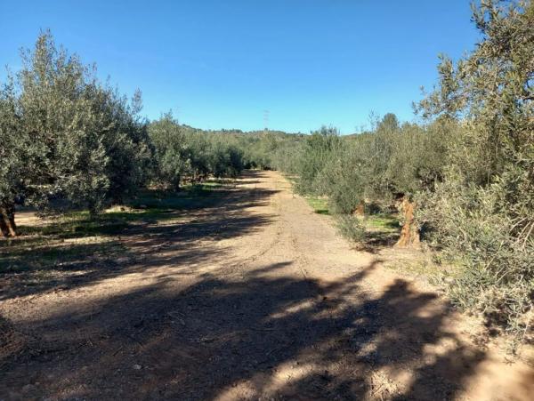 Terreno en Polígono Diseminados s/n