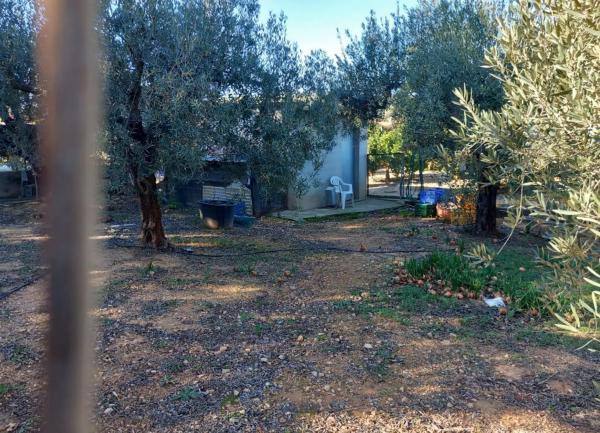 Terreno en Polígono Diseminados s/n