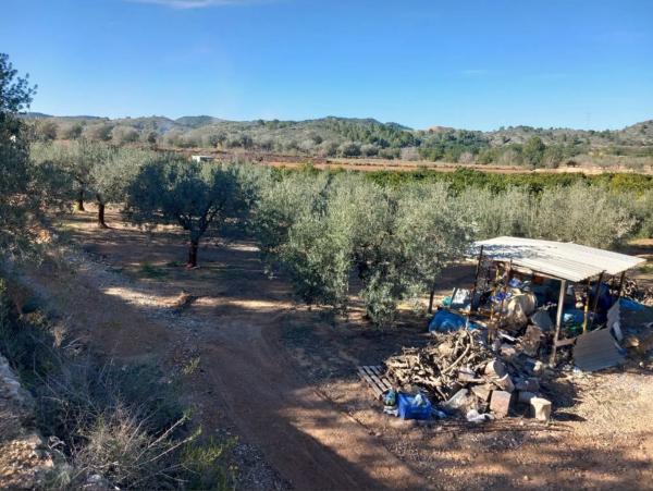 Terreno en Polígono Diseminados s/n