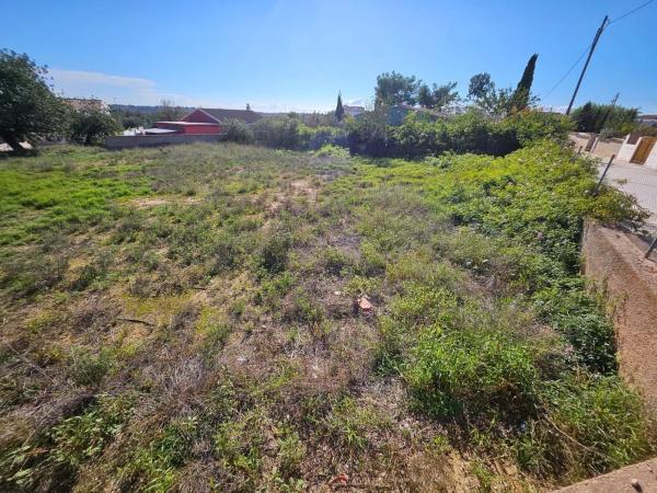 Terreno en Pla dels Aljubs