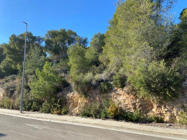 Terreno en calle Número 4, 2 -4