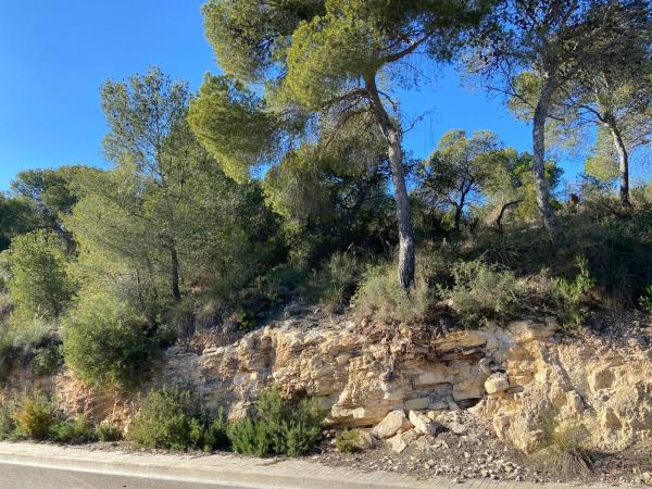 Terreno en calle Número 4, 2 -4