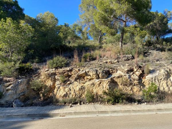 Terreno en calle Número 4, 2 -4