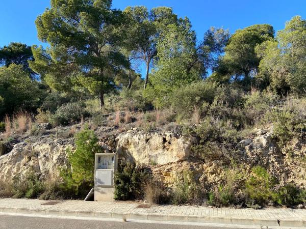 Terreno en calle Número 4, 2 -4