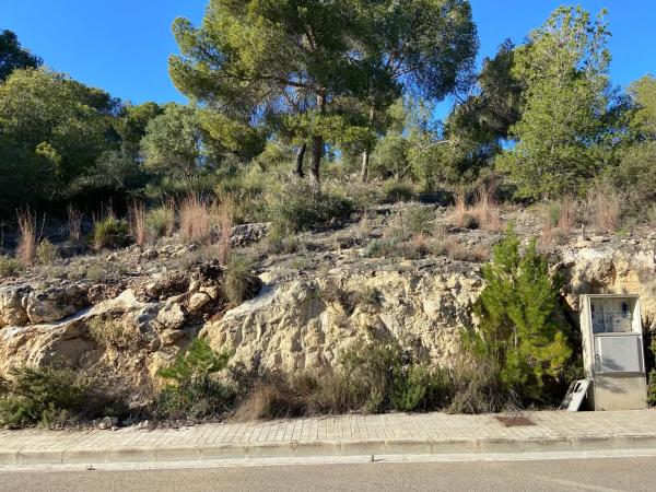 Terreno en calle Número 4, 2 -4