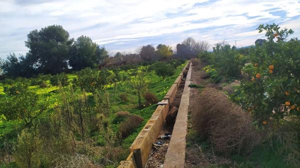 Terreno en Los Pinares-La Masía