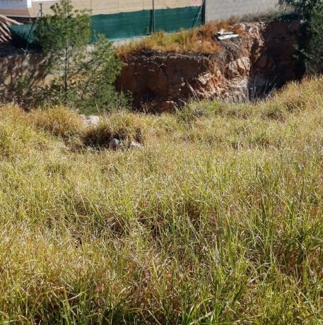 Terreno en Pla dels Aljubs