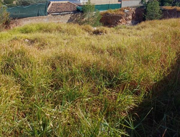 Terreno en Pla dels Aljubs