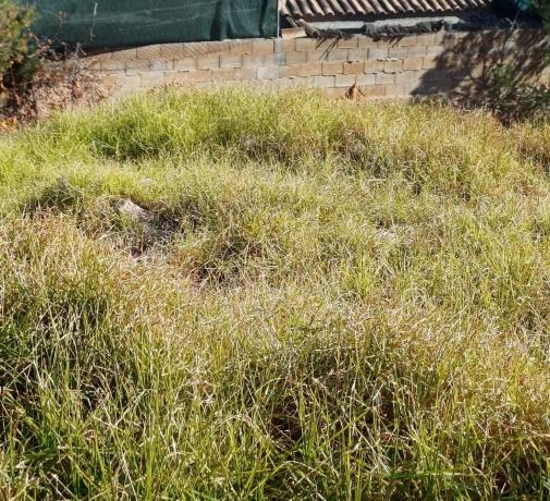 Terreno en Pla dels Aljubs