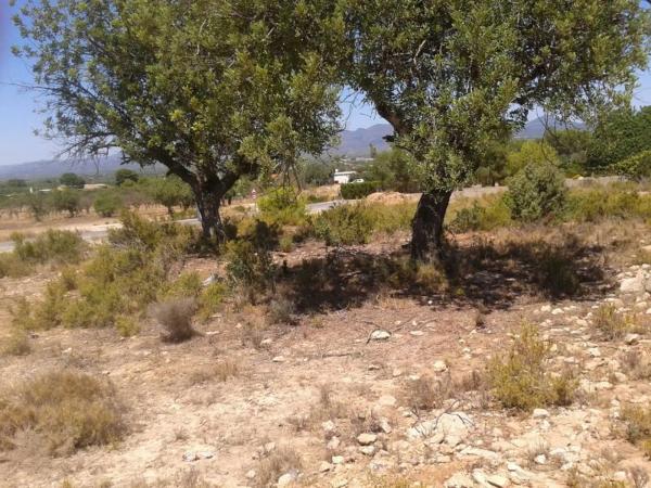 Terreno en calle la Foia de Bunyol