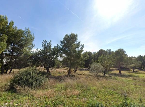 Terreno en calle Falcó