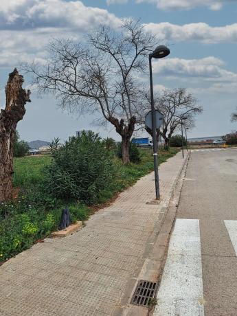 Terreno en paseo de Valencia