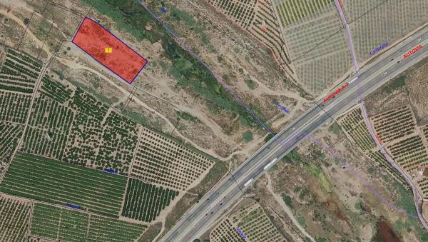 Terreno en Tres Barrancos y Pinela s/n