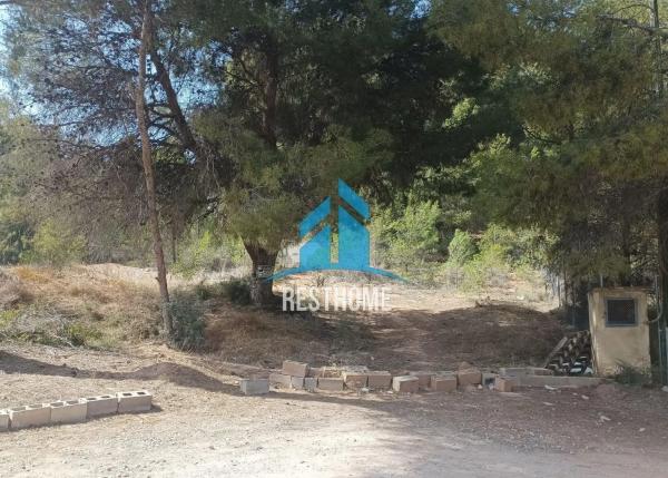 Terreno en calle Racó dels Estimats