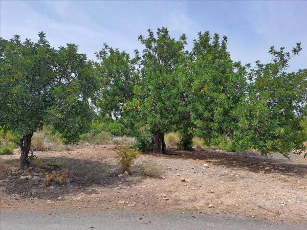 Terreno en Polígono N-30.R