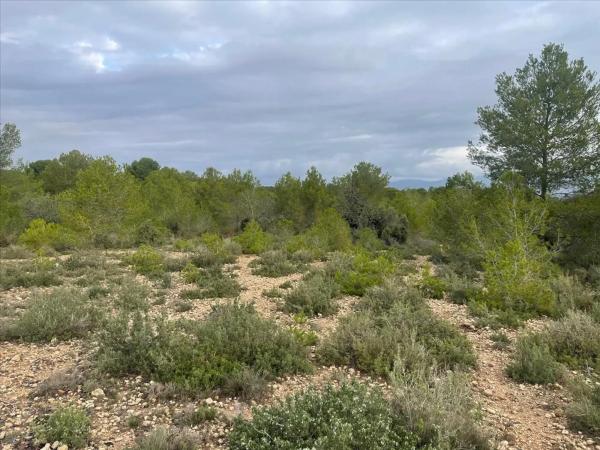 Terreno en Polígono N-30.R
