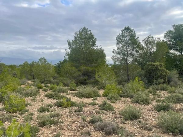 Terreno en Polígono N-30.R