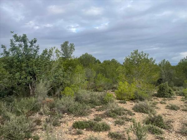 Terreno en Polígono N-30.R