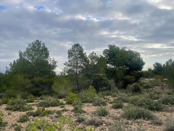 Terreno en Polígono N-30.R