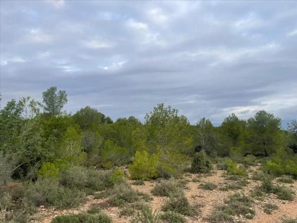 Terreno en Polígono N-30.R