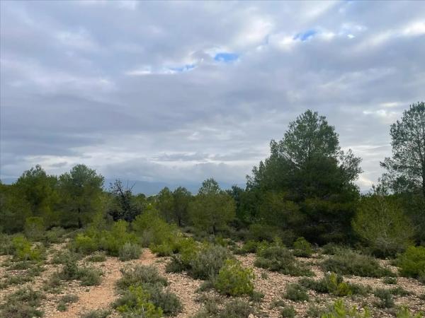 Terreno en Polígono N-30.R