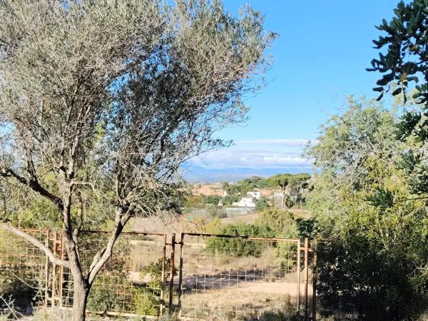 Terreno en calle Suiza