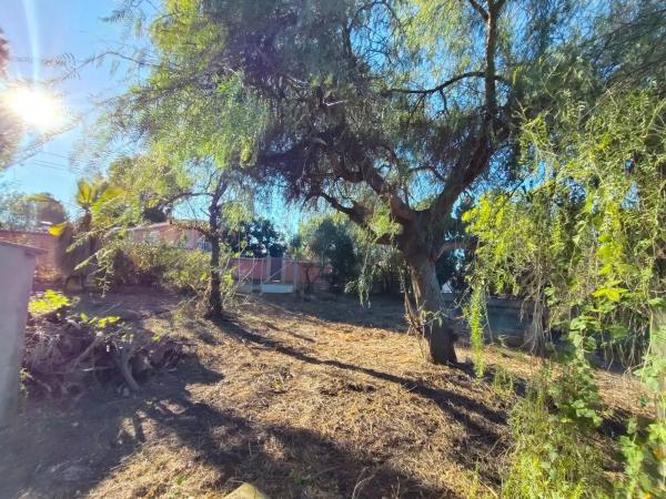 Terreno en calle Suiza