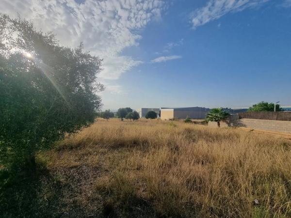 Terreno en calle d'Oslo