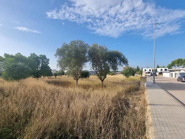 Terreno en calle d'Oslo