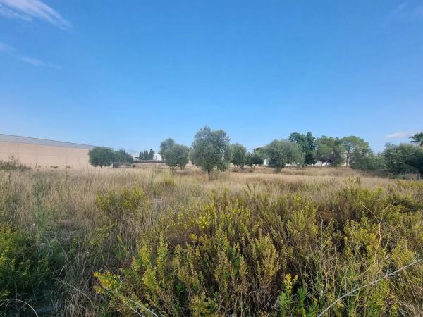 Terreno en calle d'Oslo