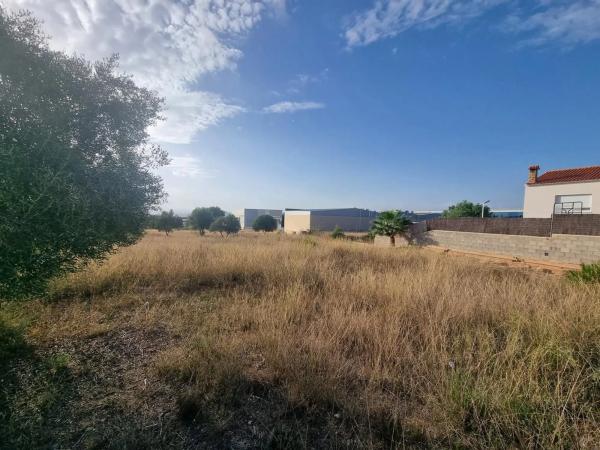 Terreno en calle d'Oslo