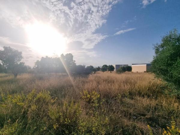 Terreno en calle d'Oslo