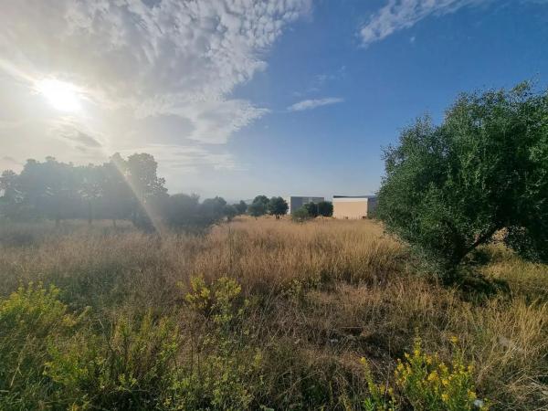 Terreno en calle d'Oslo