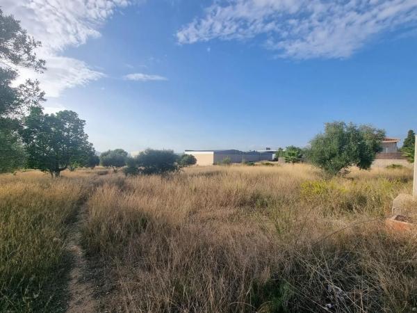 Terreno en calle d'Oslo